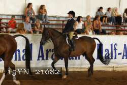 15YN_21682 thumbnail