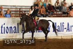 15YN_21736 thumbnail