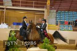 15YN_15286 thumbnail