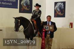 15YN_20879 thumbnail
