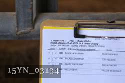 15YN_03134 thumbnail