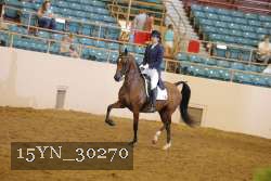 15YN_30270 thumbnail