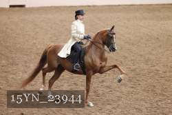 15YN_23944 thumbnail