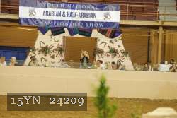 15YN_24209 thumbnail