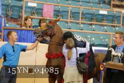 15YN_04085 thumbnail