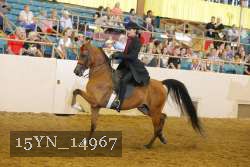 15YN_14967 thumbnail