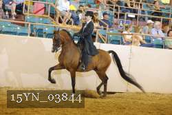 15YN_03844 thumbnail