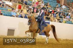 15YN_03850 thumbnail