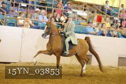15YN_03853 thumbnail