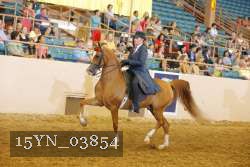 15YN_03854 thumbnail
