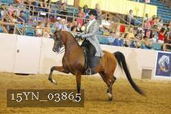 15YN_03865 thumbnail