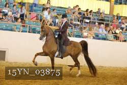 15YN_03875 thumbnail