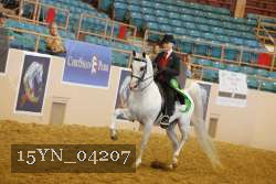 15YN_04207 thumbnail