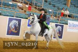 15YN_04210 thumbnail