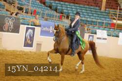 15YN_04214 thumbnail