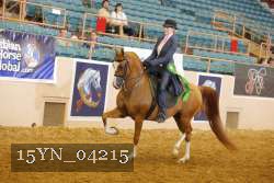 15YN_04215 thumbnail