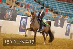 15YN_04217 thumbnail