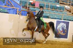 15YN_04226 thumbnail