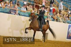 15YN_18846 thumbnail