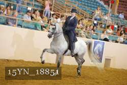 15YN_18851 thumbnail