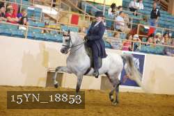 15YN_18853 thumbnail