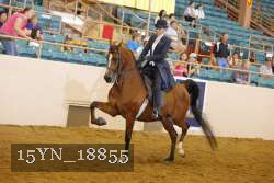 15YN_18855 thumbnail