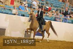 15YN_18857 thumbnail