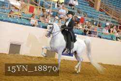15YN_18870 thumbnail