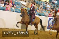 15YN_18878 thumbnail