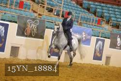 15YN_18884 thumbnail