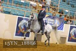 15YN_18886 thumbnail
