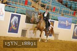 15YN_18891 thumbnail