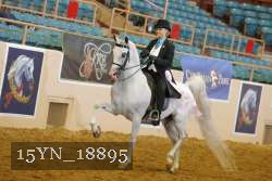 15YN_18895 thumbnail