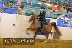 15YN_18908 thumbnail