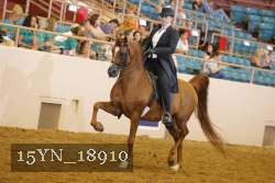 15YN_18910 thumbnail