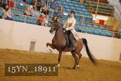 15YN_18911 thumbnail