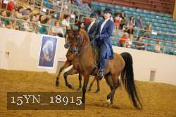 15YN_18915 thumbnail