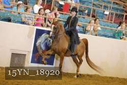 15YN_18920 thumbnail