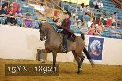 15YN_18921 thumbnail