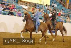15YN_18924 thumbnail
