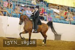 15YN_18928 thumbnail