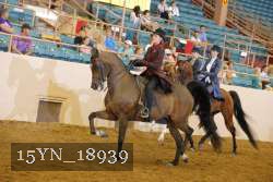 15YN_18939 thumbnail