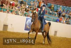15YN_18944 thumbnail