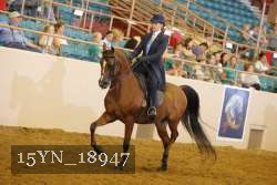 15YN_18947 thumbnail