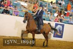15YN_18949 thumbnail