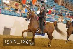 15YN_18951 thumbnail