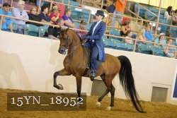 15YN_18952 thumbnail
