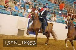 15YN_18953 thumbnail
