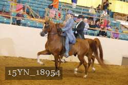 15YN_18954 thumbnail