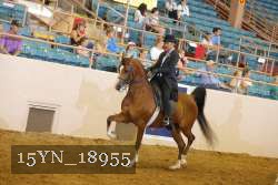 15YN_18955 thumbnail